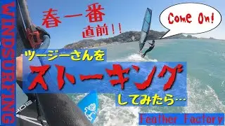 春一番直前！！ツージーさんをストーキングしてみたら…windsurfing