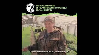 Агрофирма Лаишевская