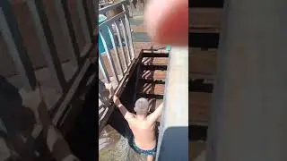 #алматы