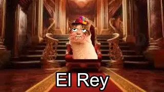 El rey @CapitanGato