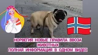 Норвегия новые правила ввоза животных для беженцев из Украины с 01.07.2023 года