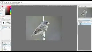 creating your flag product - example screencast
