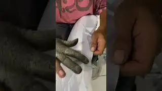 NMAX FULL STICKER LASER WHITE