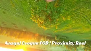 Nazgul Evoque F6D | FPV Sunrise Joy