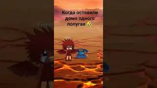 попугай придумка не моя автор: не знаю