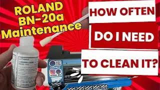 Roland BN 20a Maintenance