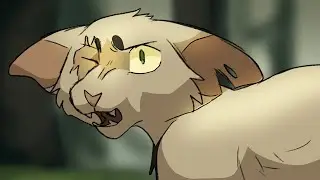 Voila PMV/AMV Commission