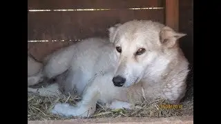 Пятница 13/Тайна ты как/Ух ты/