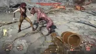 Fallout 4 - Glitches & Stupid Moments
