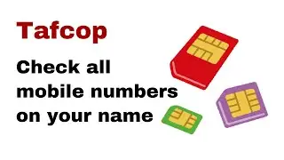 Tafcop portal - Check all mobile numbers registered on your name