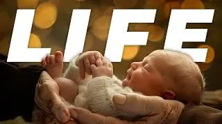 What is the Purpose of Life?