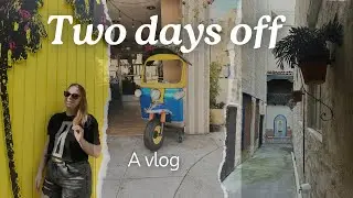 My weekend vlog | Pasadena | Los Angeles Zoo | Icon Collective