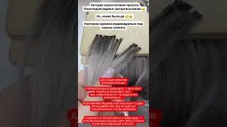 18 января 2024 г.