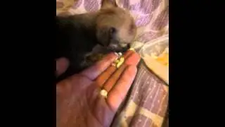 video 2012 09 15 19 32 47