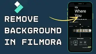 How to Remove Background in Filmora App 2024?
