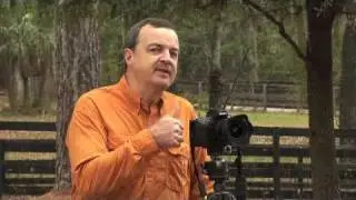 Photo Tip ~ Add Exciting Starburst Effects to Your Photos