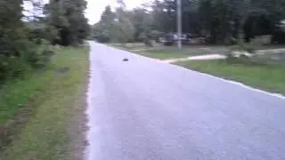 Mamba Max Pro 2400kv slash 2wd