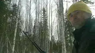 по вырубке