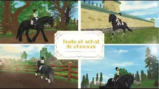 ESSAIES DE CHEVAUX POUR UN PROJET | RP STAR STABLE