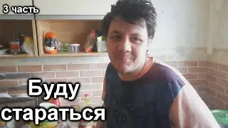 ЗАСРАЛИСЬ КОНКРЕТНО ТАРАКАНЫ ХОДЯТ ПЕШКОМ🤯