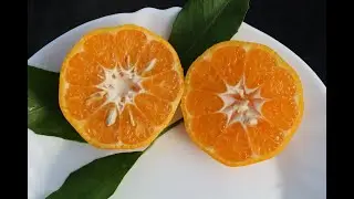 Mandarin 