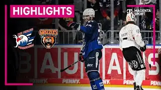 Adler Mannheim - Grizzlys Wolfsburg | PENNY DEL | MAGENTA SPORT