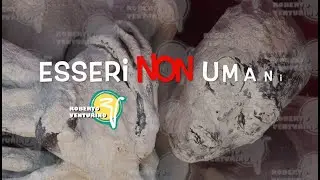 Il mistero delle mummie di Nazca by GUC 2024