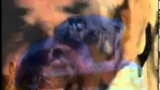 Textura - Marcílio Maia e Bada Kbal