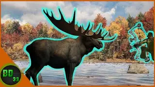 Our Biggest Moose Ever With The New Camo Bow! Call Of The Wild
