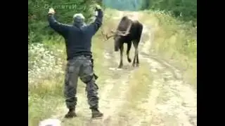 Улетные кадры с Рыбалки и охоты