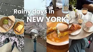 NYC Travel Vlog🚕🍕 | trying viral bakeries and restaurants | ranking cardamom buns | cherry blossoms🌸