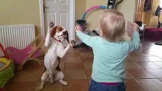 This is Why Dogs Aren't Just Pets, They're Family. ❤️