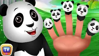 Finger Family Panda Song - Kids Songs and Learning Videos - ChuChu TV Classics 