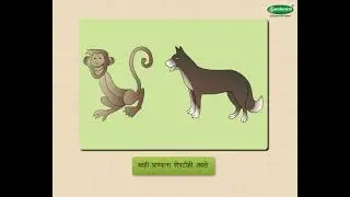 Science Concept  प्राण्यांचे अवयव - Part of Animals (3-4 grade) Marathi med