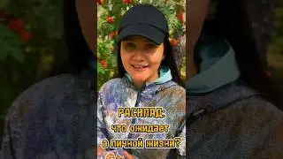#матрицасудьбы #раскладтаро #тароонлайн #обучениетаро #услугитаролога #таробесплатно