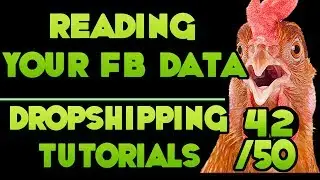 Reading Facebook Data on your Dropshipping campaigns – [Free DropShipping Video Tutorials # 42/50]