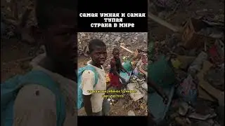 Самая умная и самая тупая страна в мире 