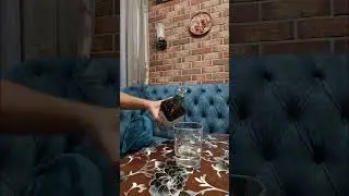 Дегустация.