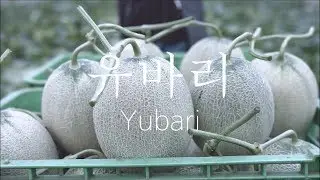 일본, 홋카이도, 유바리(Yubari) 소개영상 HD - 北海道 / 夕張