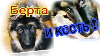 Берта и ( Большая кость но , я с ней справлюсь !)