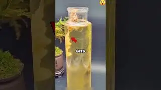 What’s in the Water?