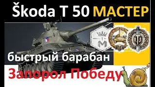Шкода Т50 - МАСТЕР + Воин + Основной Калибр