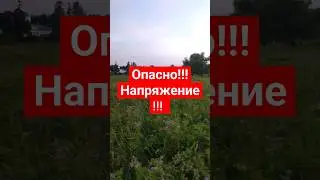 Опасное напряжение! Изгородь под током! 😲🤯
