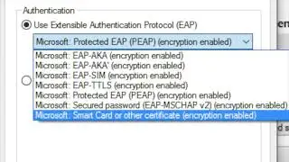 Authenticating Remote Users