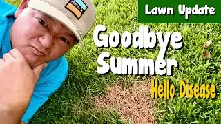 How To Get A Perfect Lawn In Hawaii (Fall Lawn Care)