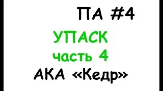 па4