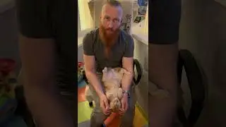 Вот и приглашай гостей