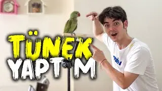 Katlanabilir Eğitim Tüneği Yaptım - Tripodumu Tüneğe Dönüştürdüm @DummiestRepairs