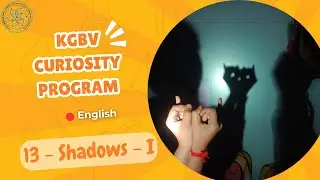 English - Curiosity Program - Session - 13| Shadows 1