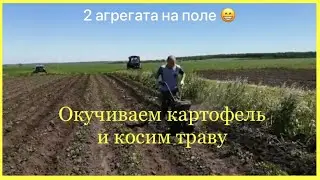 Косим траву на МТЗ-82 и окучиваем картофель на мотоблоке / Работа на двух агрегатах 😁